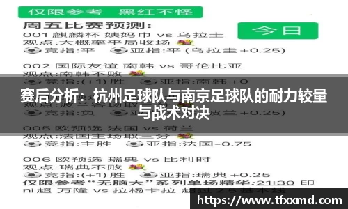 赛后分析：杭州足球队与南京足球队的耐力较量与战术对决